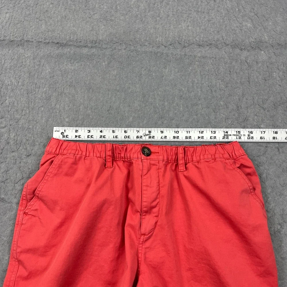 Chubbies‎ Shorts Men's Large Pink Dippers 7